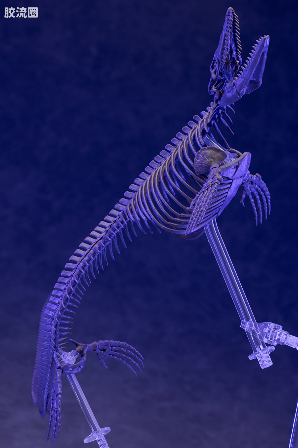 万代综合拼装模型系列 Imaginary Skeleton系列 沧龙 - 图片